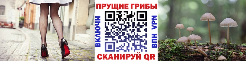 Галлюциногенные грибы GOLDEN TEACHER  наркошоп  Можга 