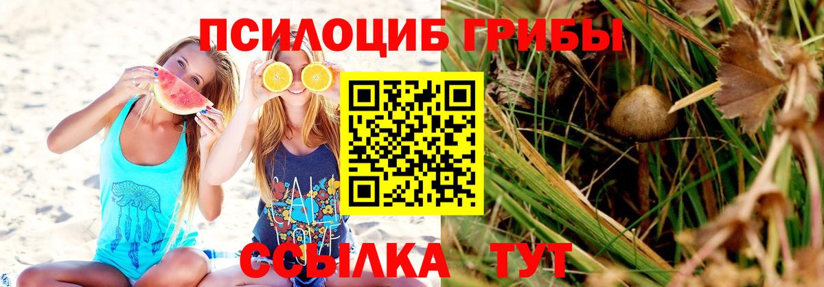 Можга  Псилоцибиновые грибы мицелий  Вход с VPN 