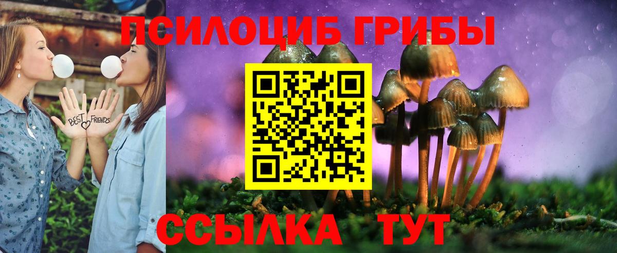 Псилоцибиновые грибы Psilocybe Можга